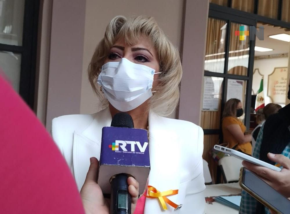 En lo que va del año no se han presentado casos de dengue en Xalapa