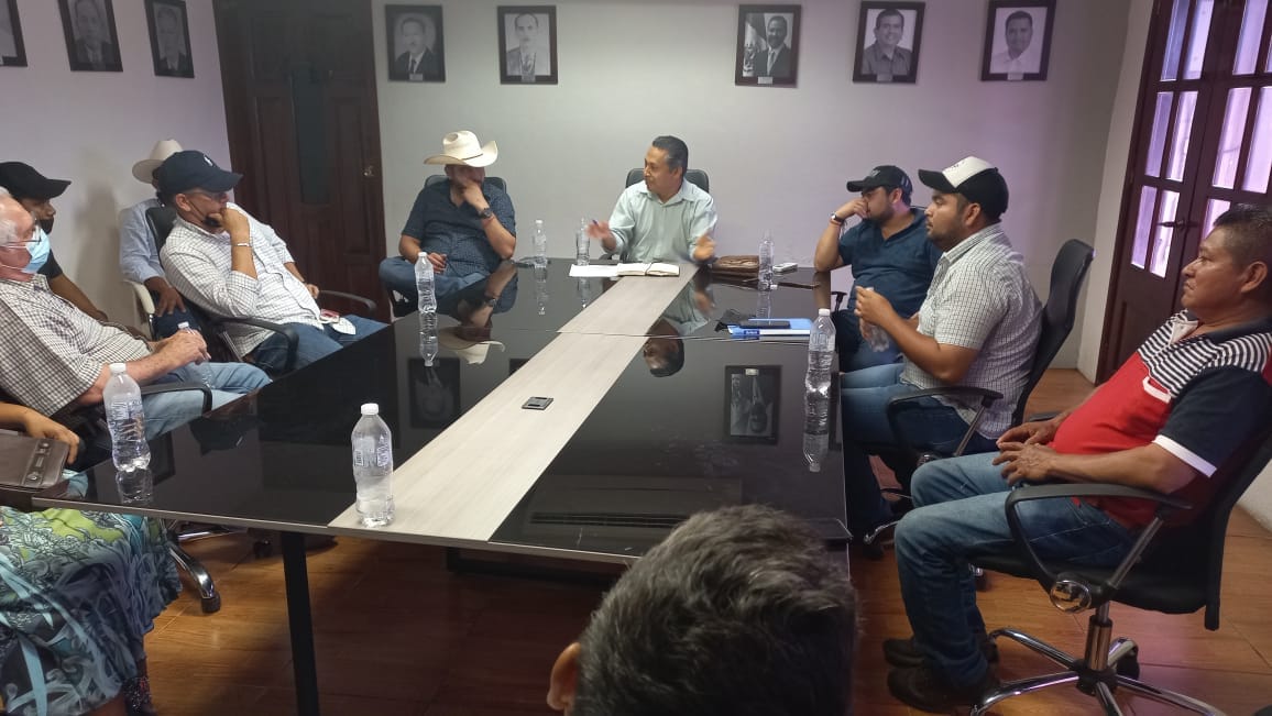 En Playa Vicente castigarán la venta de cárnicos de dudosa procedencia