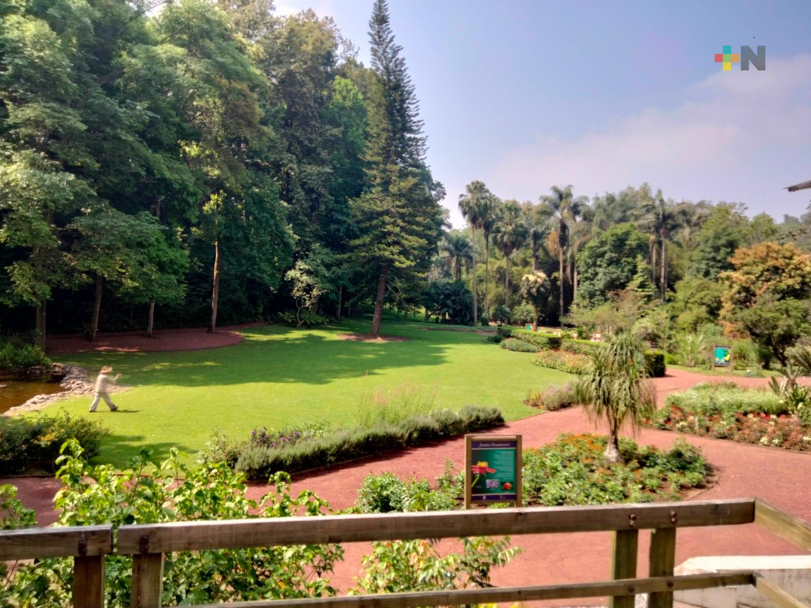 Tras dos años cerrado, reabrirá al público el jardín botánico, en Xalapa