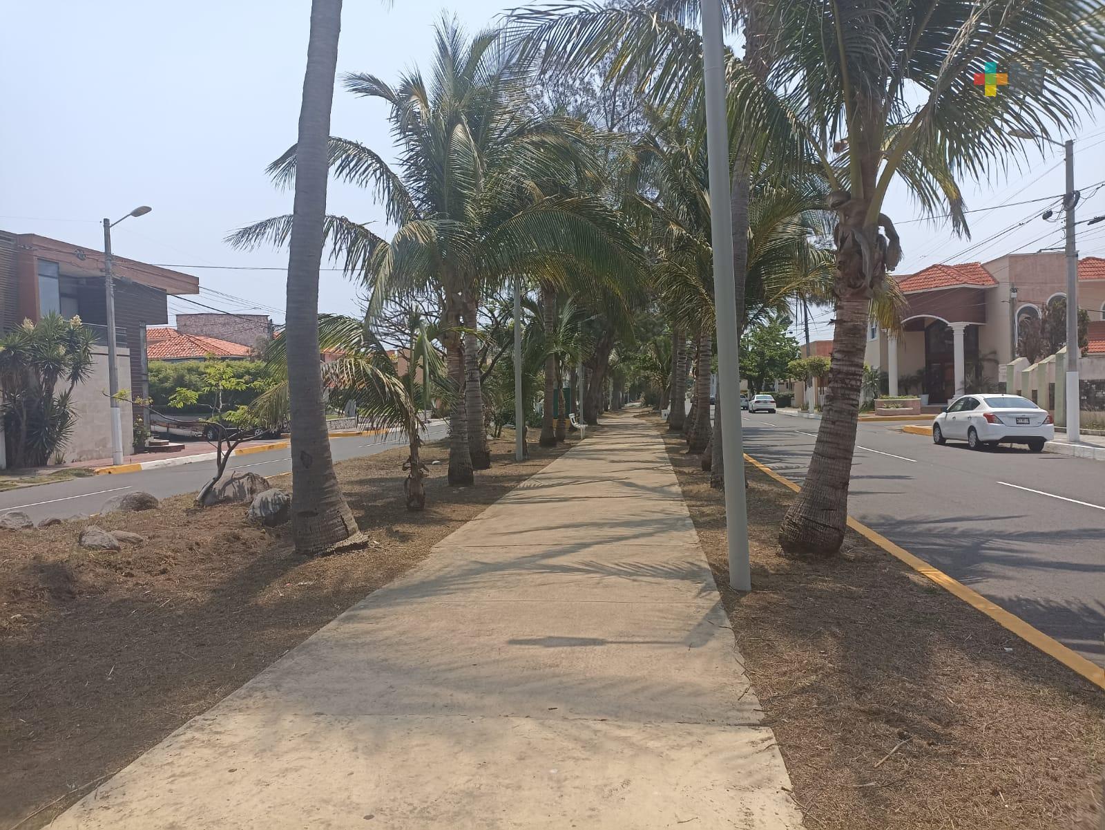 Mujeres perciben inseguridad al transitar en estas zonas de Boca del Río