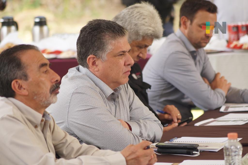 Veracruz, ejemplo nacional en combate y disminución de tala clandestina