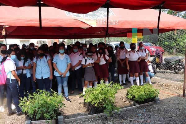 Inician programa de reforestación en Carlos A. Carrillo