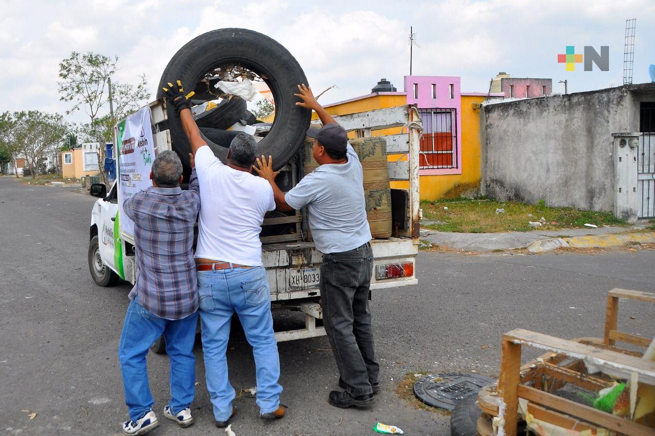 Intensifican campaña de descacharrización en colonias para evitar propagación de dengue en Medellín