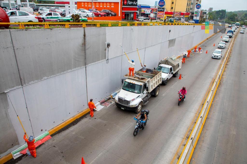 Continúan acciones para mejora de la imagen urbana