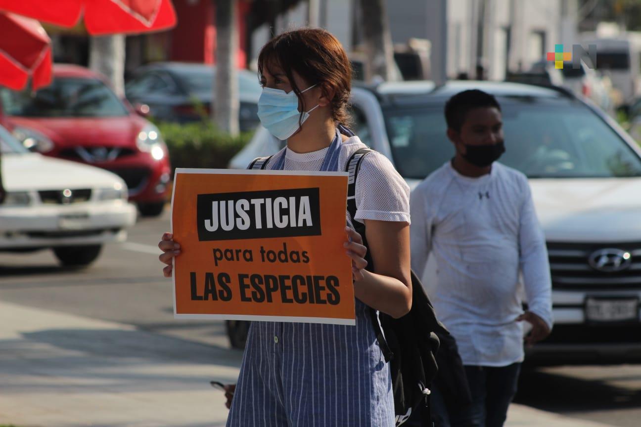 Afuera de Acuario de Veracruz, se manifiestan en contra de los animales en cautiverio