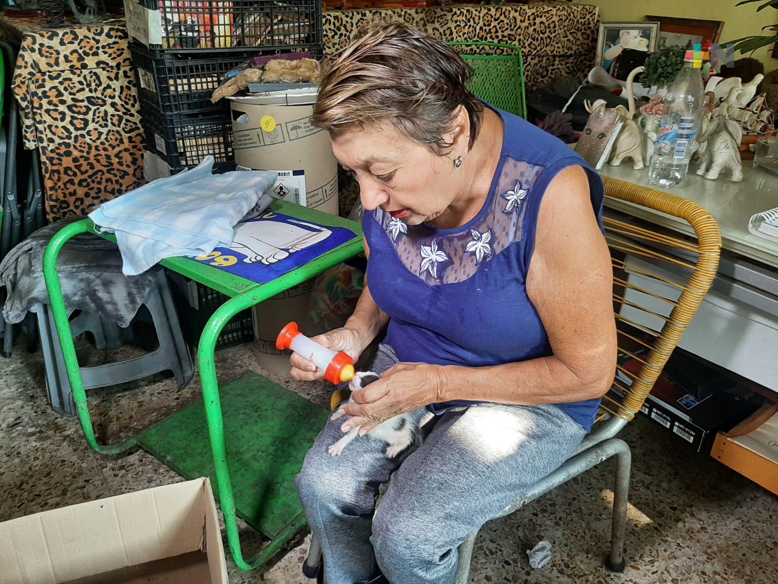 Acopiarán plástico, cartón y latas en beneficio de Asociación Protectora de Animales