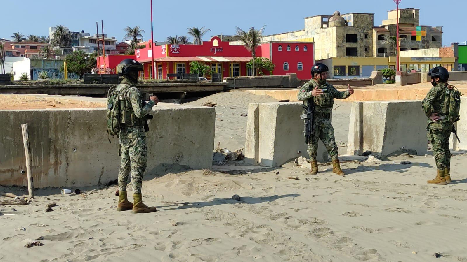 Mantienen monitoreo de rastro de tortugas en playa de Coatzacoalcos