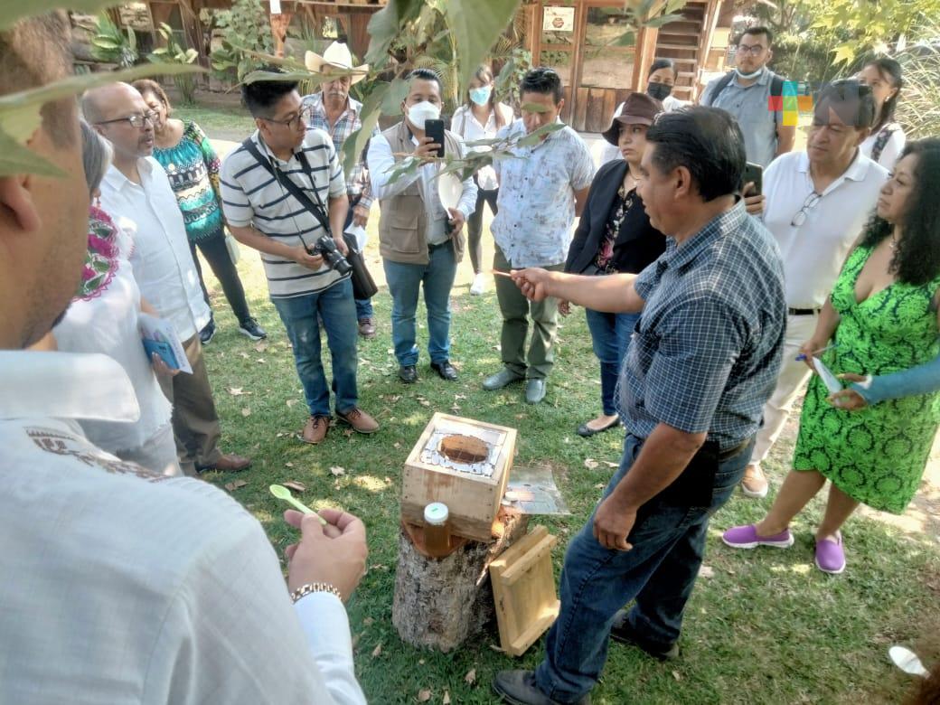 En Teocelo inauguran Centro de Investigación y Mejoramiento Genético de Abejas
