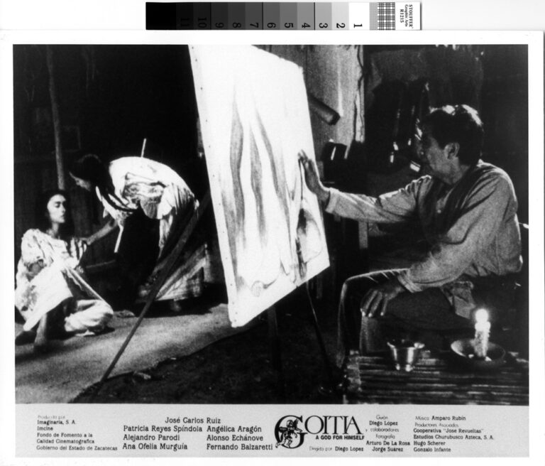 Presenta IVEC proyecciones de cine de arte en el JEX en vinculación con IMCINE