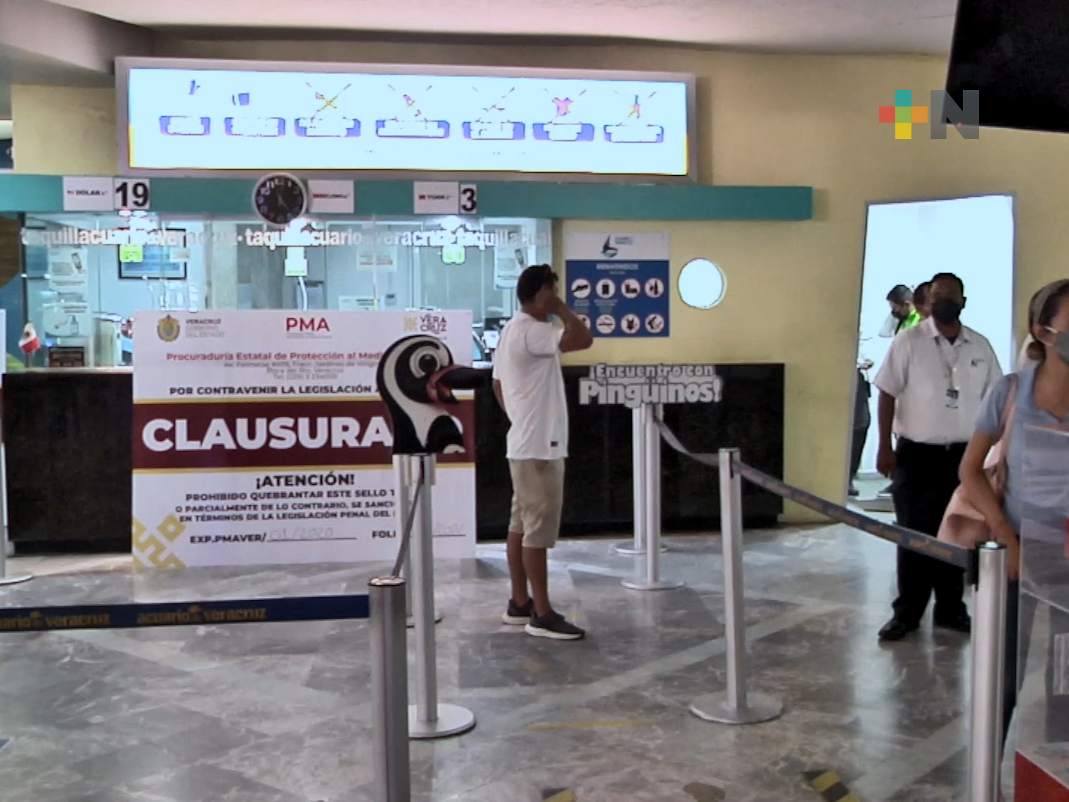 Clausura de Acuario de Veracruz no ha impacto en llegada de turistas al puerto: secretario de Turismo