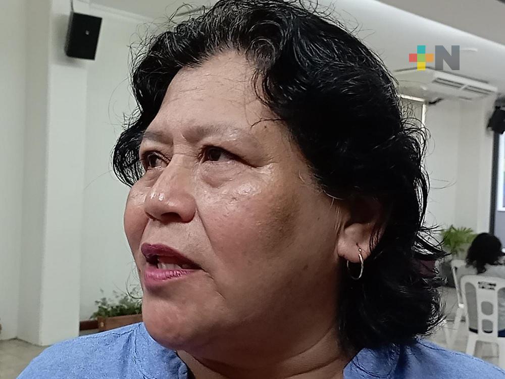 Comisión Especial acelerará procesos para dar certeza jurídica a escuelas: diputada Eusebia Cortés