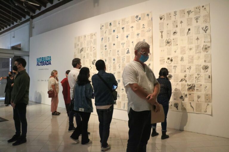 Invita IVEC a visitar la exposición Naturaleza Alterada, de Maribel Portela