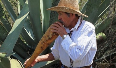 Analizan paralelismos entre bebidas ancestrales de México y Ecuador