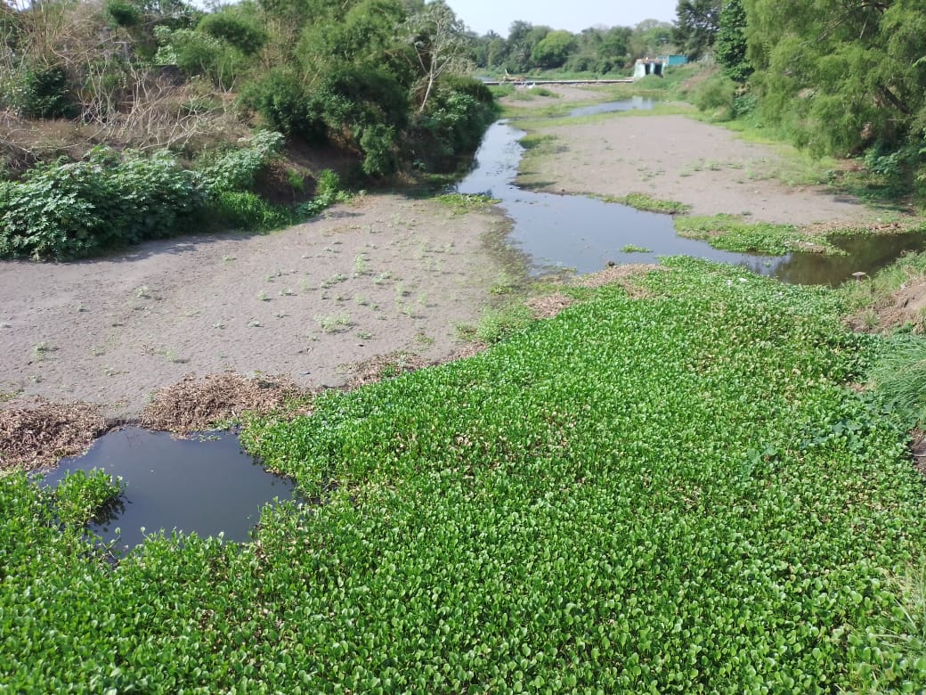 A cuidar el agua exhorta Grupo MAS; estiaje ha reducido nivel de río Jamapa