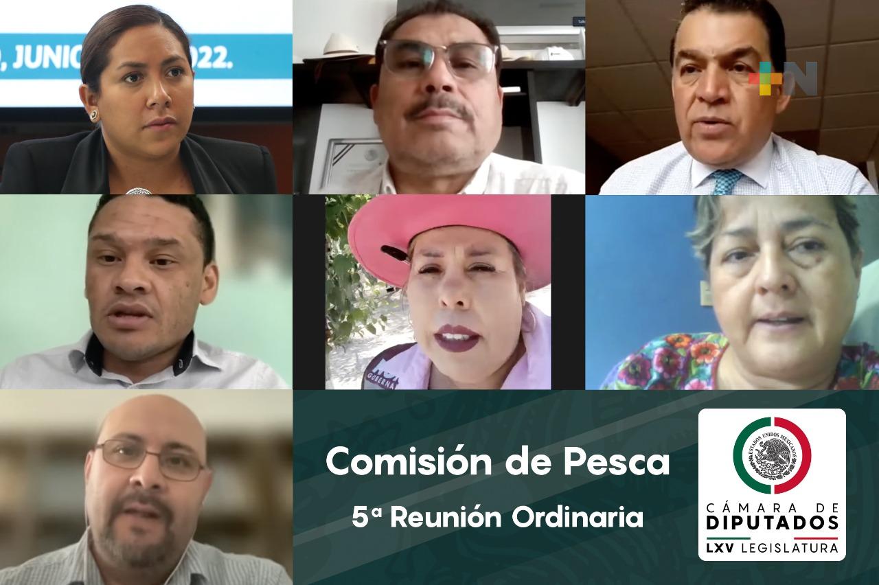 La Comisión de Pesca se reunió con la asociación civil Comunidad y Biodiversidad