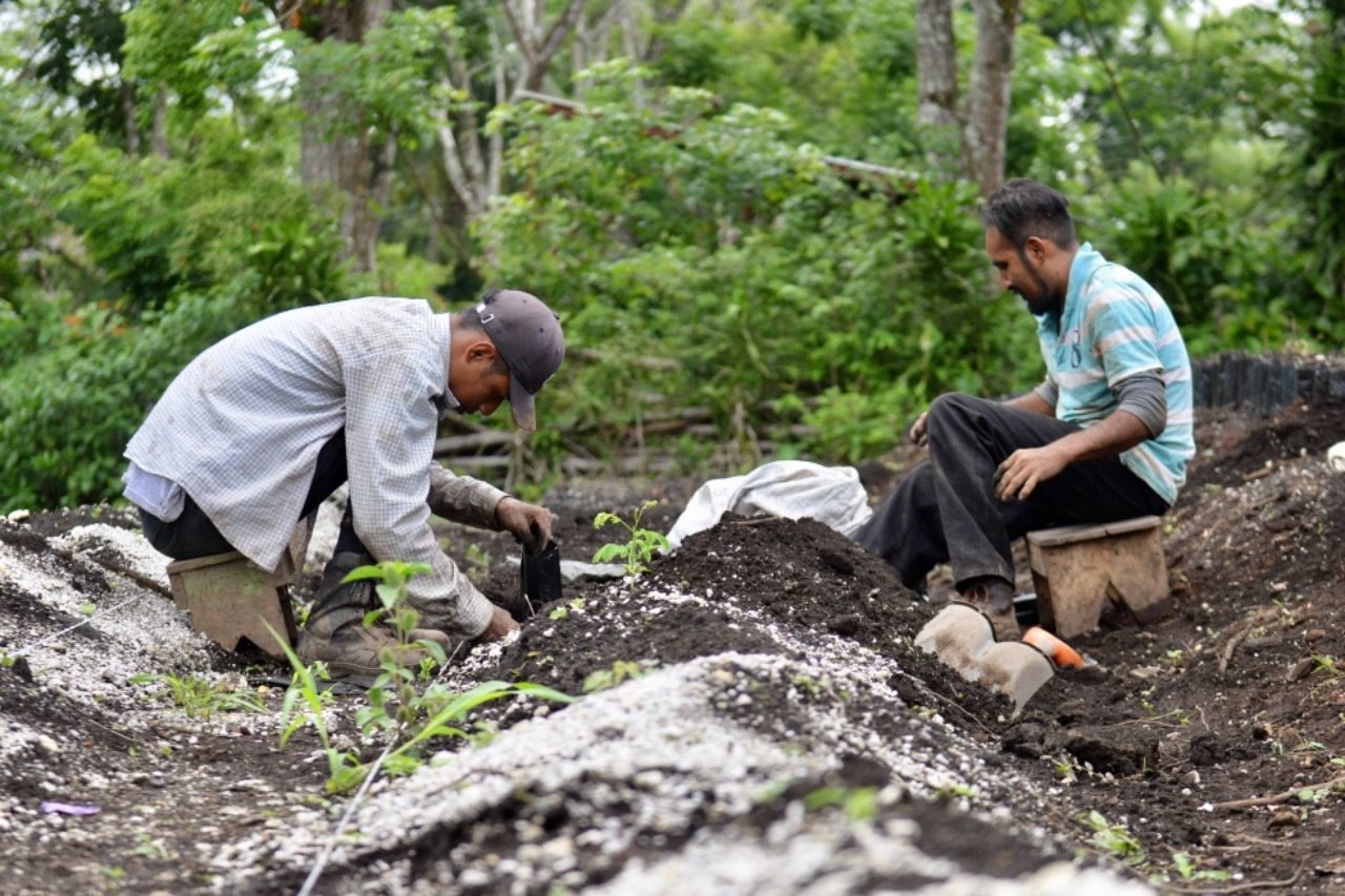 Ofrece ayuntamiento capacitación a agroproductores de Tuxpan