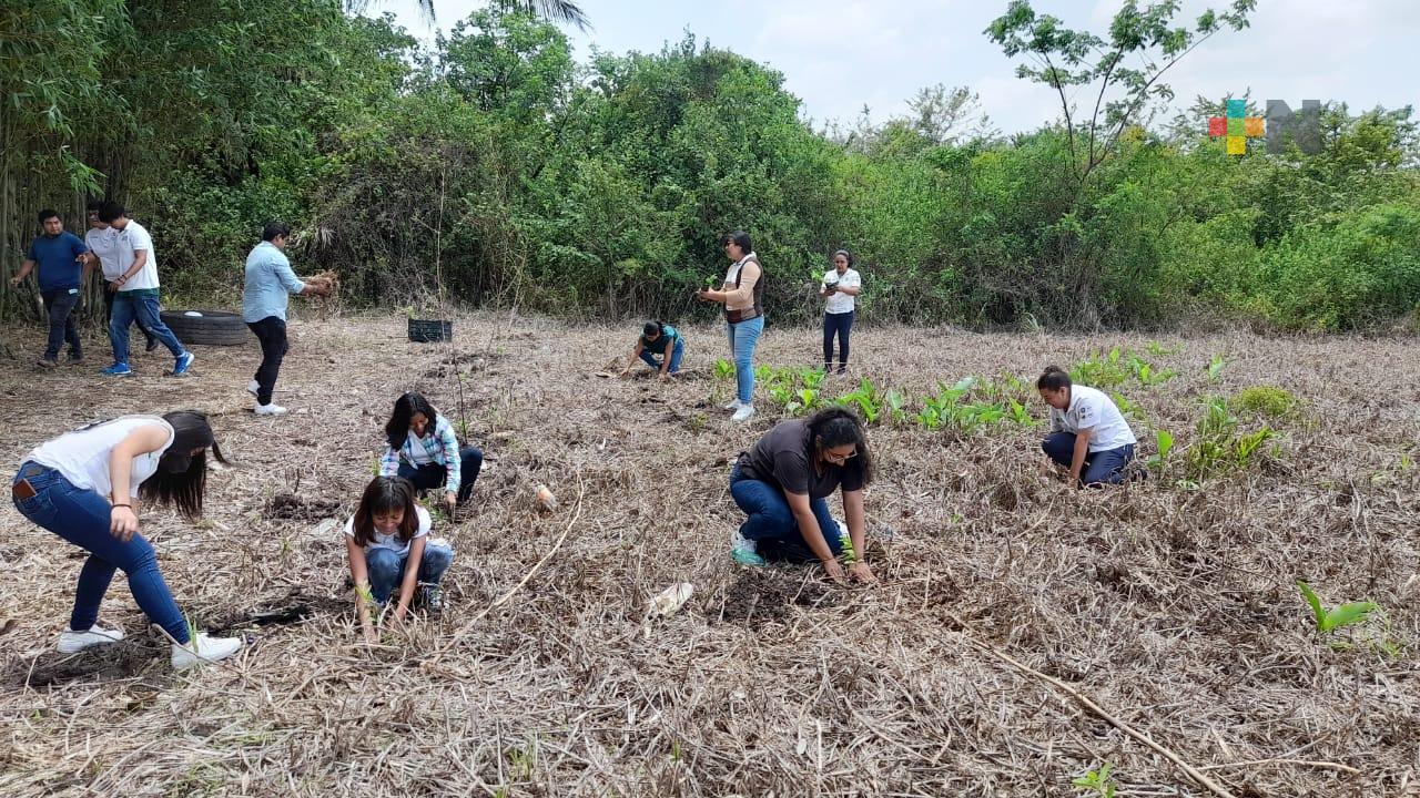 Tecnológico de Martínez de la Torre se suma a campaña de reforestación municipal