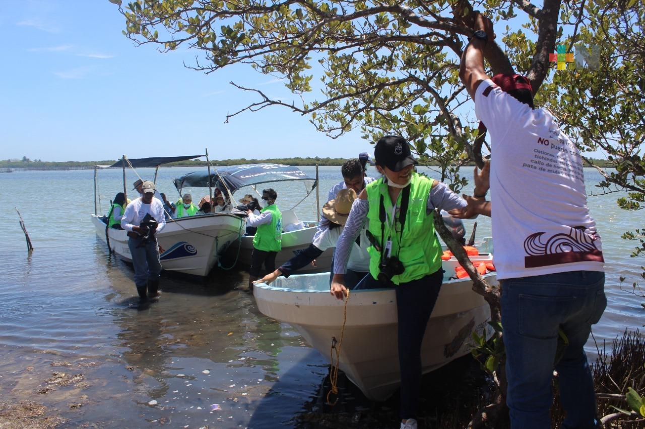 Campaña de limpieza recolecta 10.5 toneladas de basura en laguna de Tamiahua