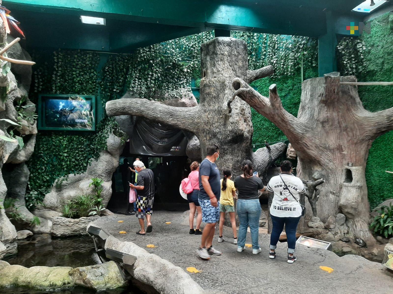 Remodelación del Aquarium del puerto de Veracruz será inaugurada el 29 de febrero