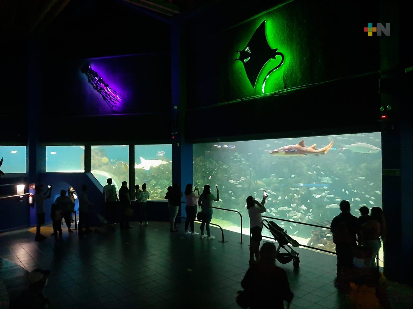 Procuraduría de Medio Ambiente presentará proyecto de modernización del Aquarium de Veracruz