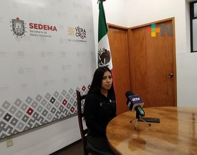 Ya hay ganadores del Primer Concurso de Cortometrajes Ambientales de la Sedema