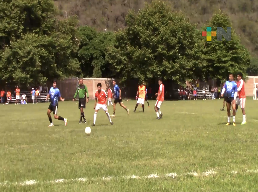 Participará el Deportivo Cali en la Liga Profesional de Futbol