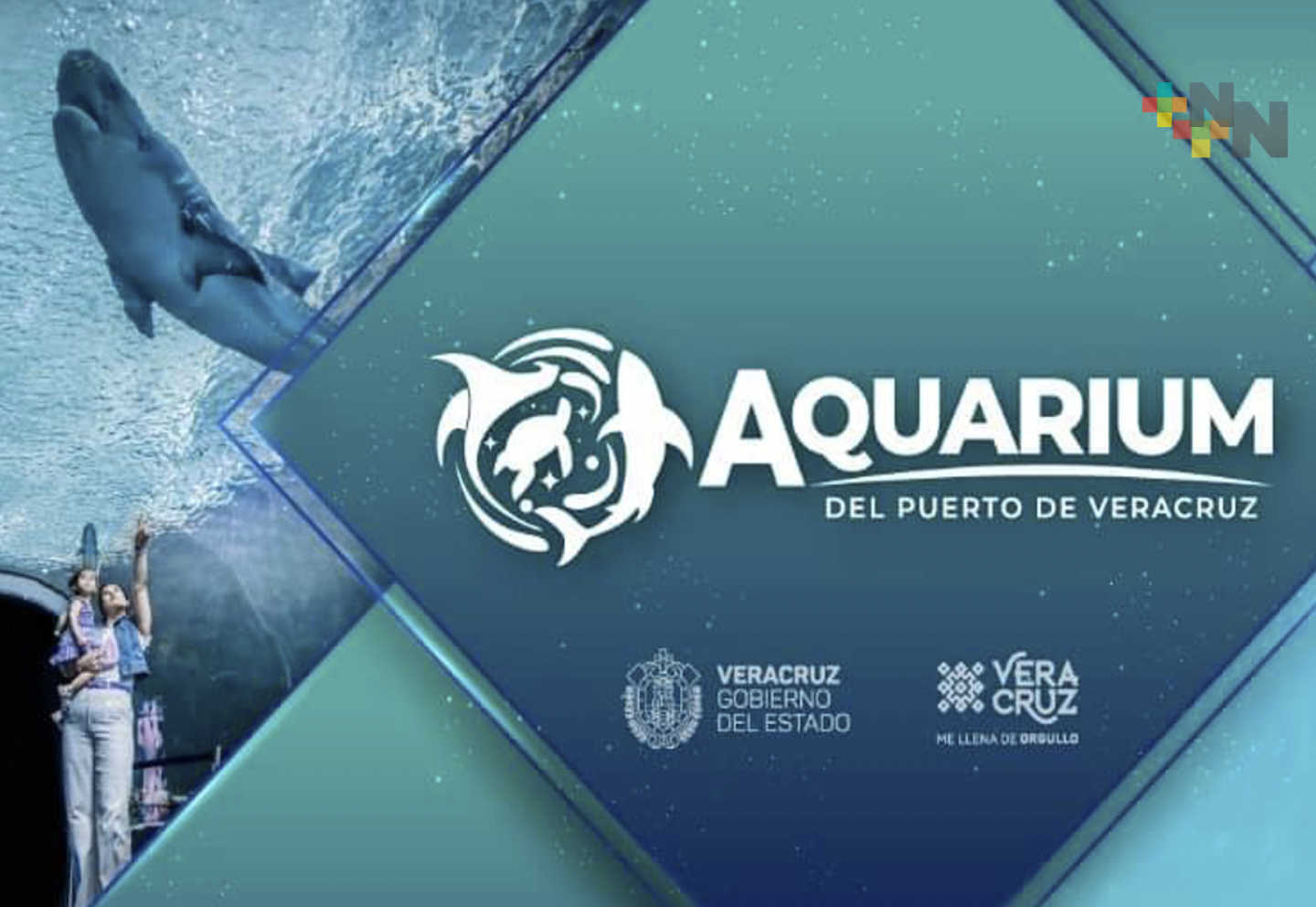 Segundo martes de cada mes, Aquarium dará acceso gratuito a 5 mil personas, previo registro