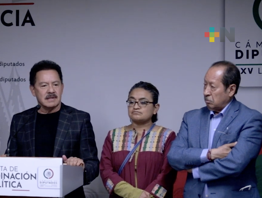 Morena está en la postura de no violar la Constitución y no suplir al Pleno de la Cámara de Diputados: Ignacio Mier