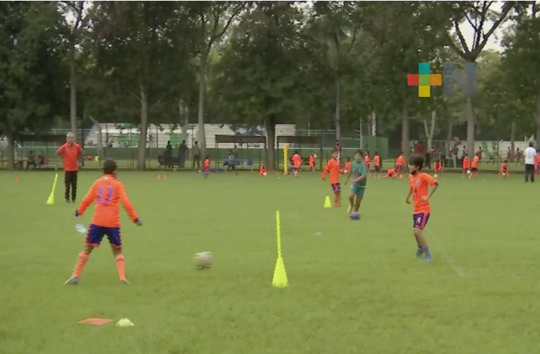 Delfines de Xalapa competirán en la Liga Nacional de Futbol Juvenil