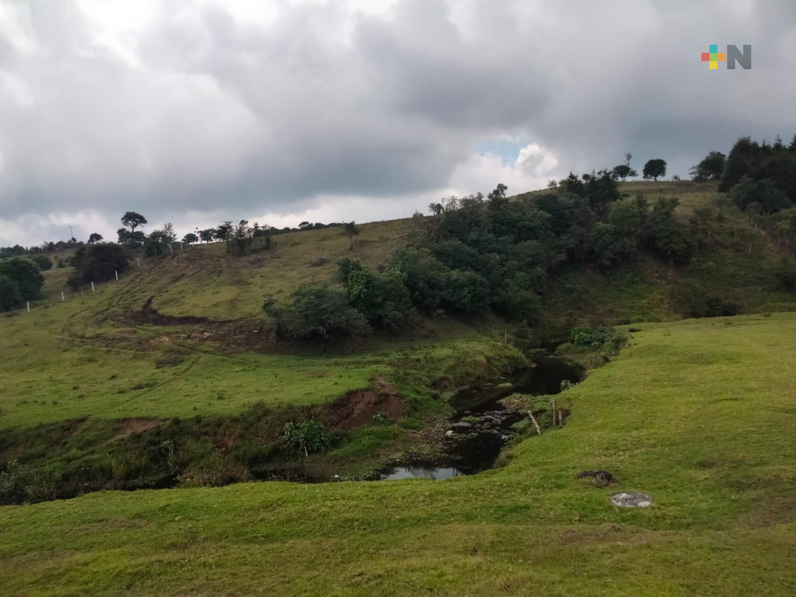 Con humedales evitarán contaminación del río Naolinco por producción de quesos en Miahuatlán