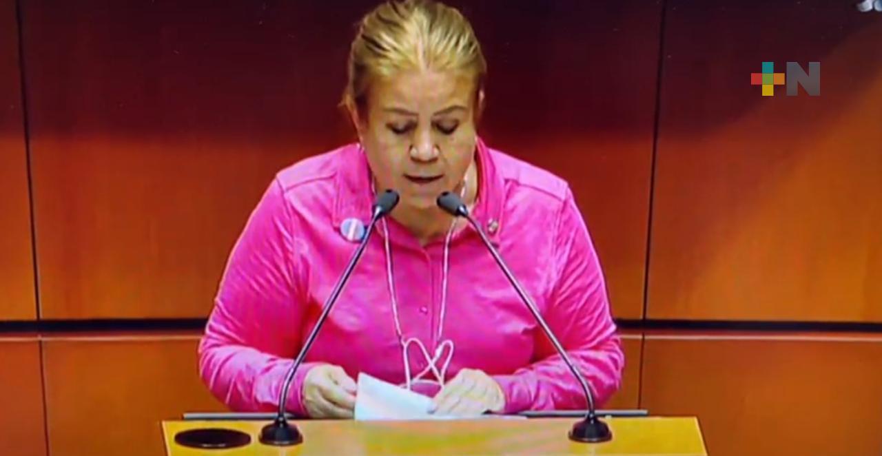 Llegan a Senado de la República, anomalías del Grupo MAS