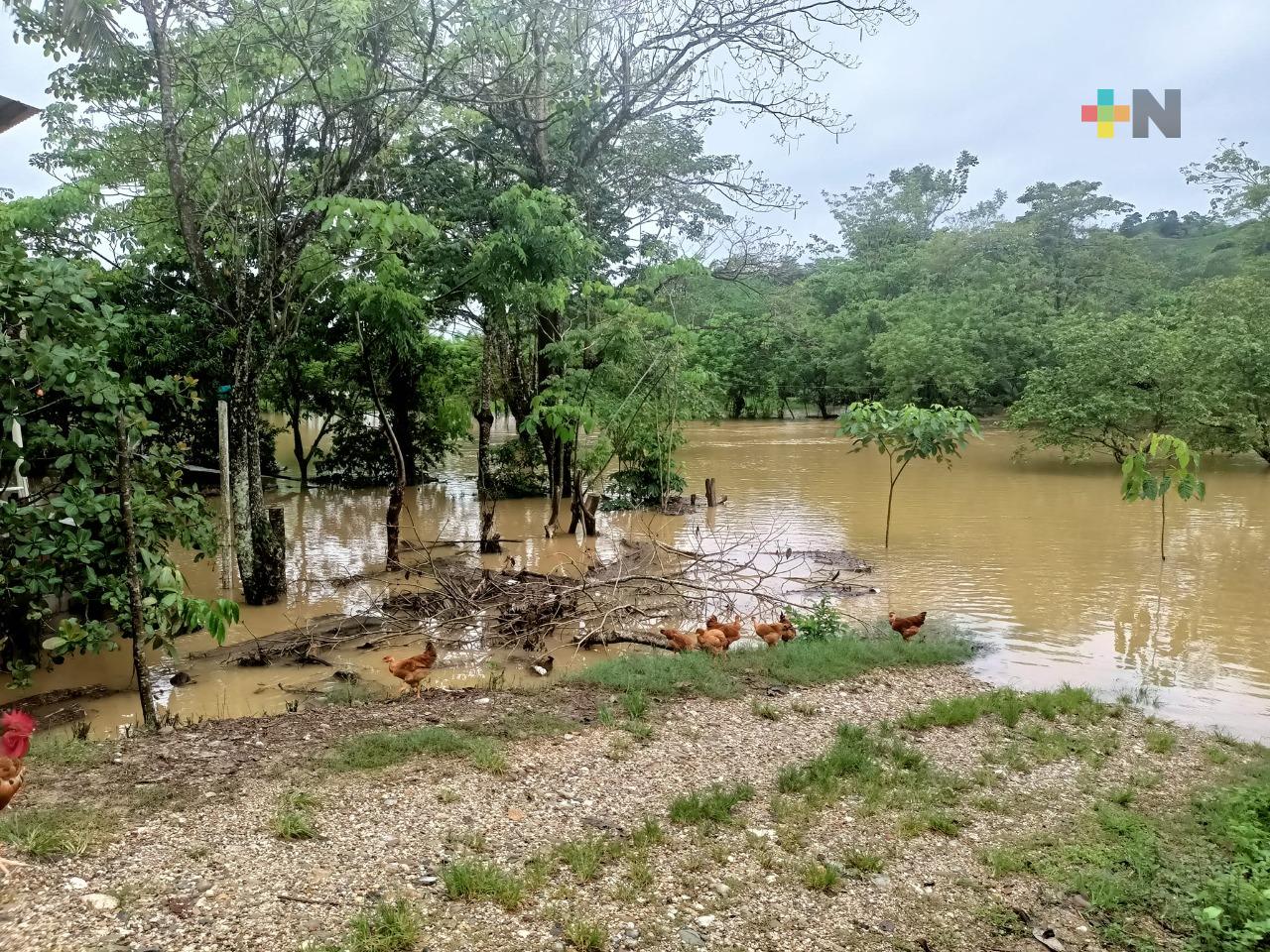 Monitorean río Coatzacoalcos; ha subido casi un metro arriba de su nivel normal
