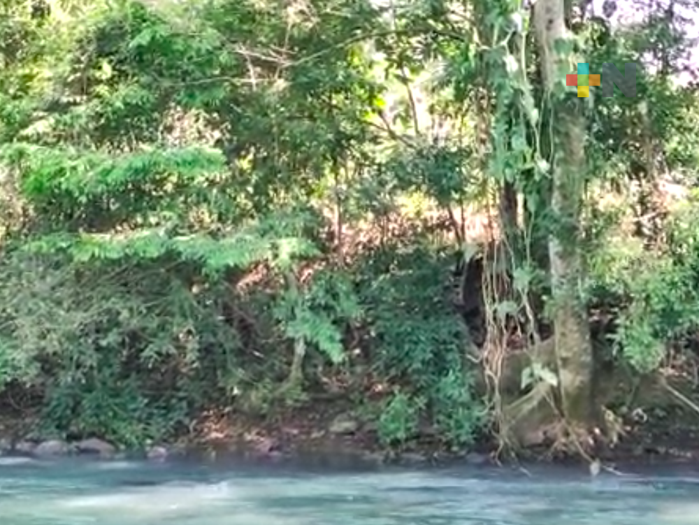 Ciudadanos y ambientalistas piden alto a la contaminación del río Atoyac