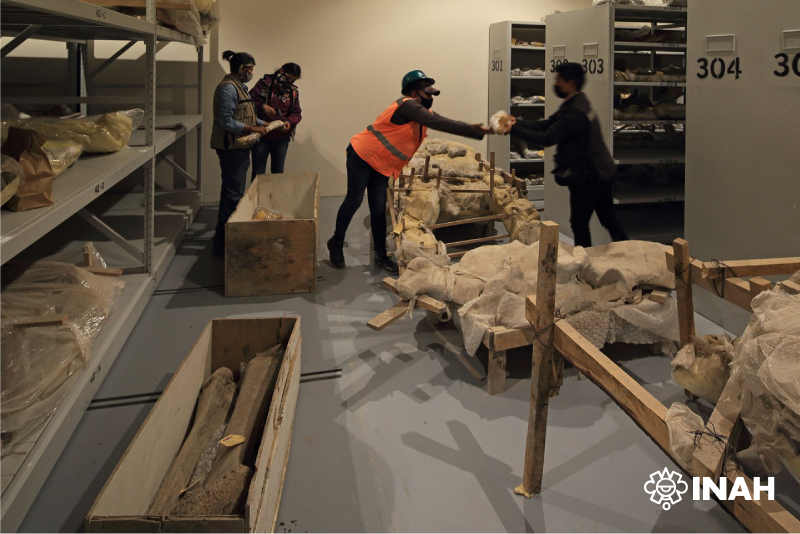 Especialistas del INAH estudian la colección paleontológica de Santa Lucía