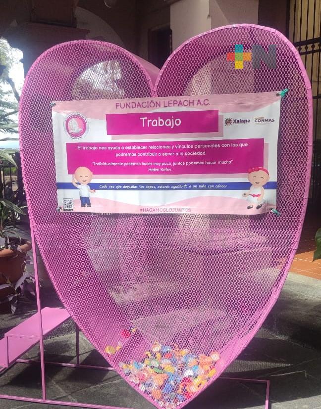 Colocan contenedor de tapitas en Ayuntamiento de Xalapa