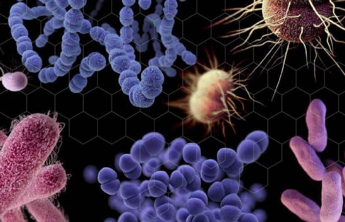 OMS alerta que desarrollo de nuevos antibióticos está “estancado”