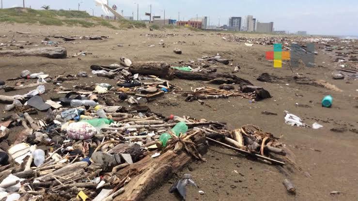 Superan niveles de contaminación playas de Coatzacoalcos