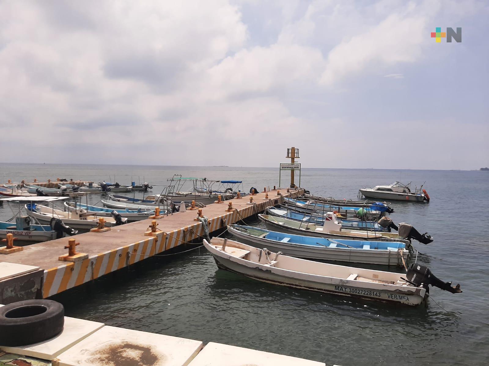 Continúa baja la pesca en zona conurbada Veracruz-Boca del Río