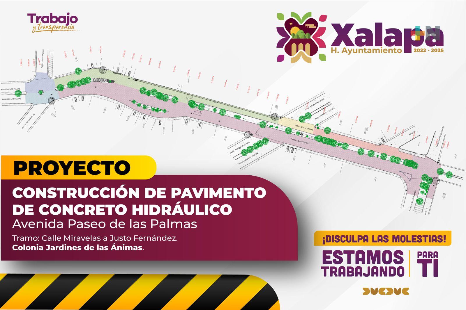 Por obra de pavimentación habrá adecuaciones viales en Paseo de las Palmas
