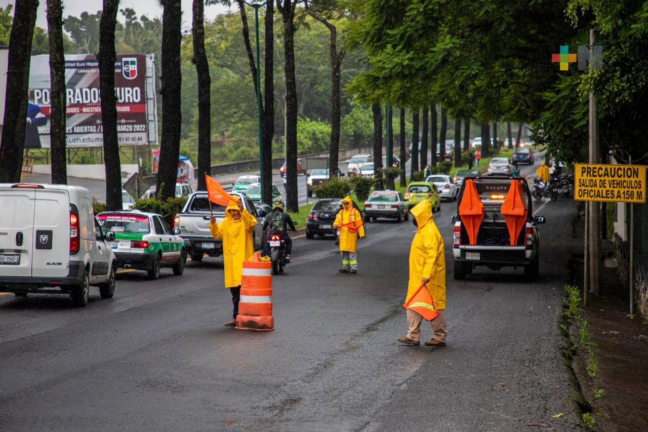 Medio ambiente municipal brinda mantenimiento al arbolado urbano