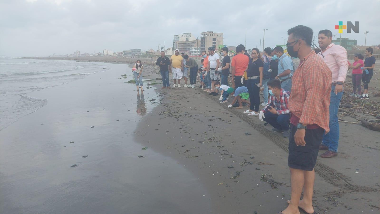 Liberan más de 180 crías de tortuga Lora en Coatza