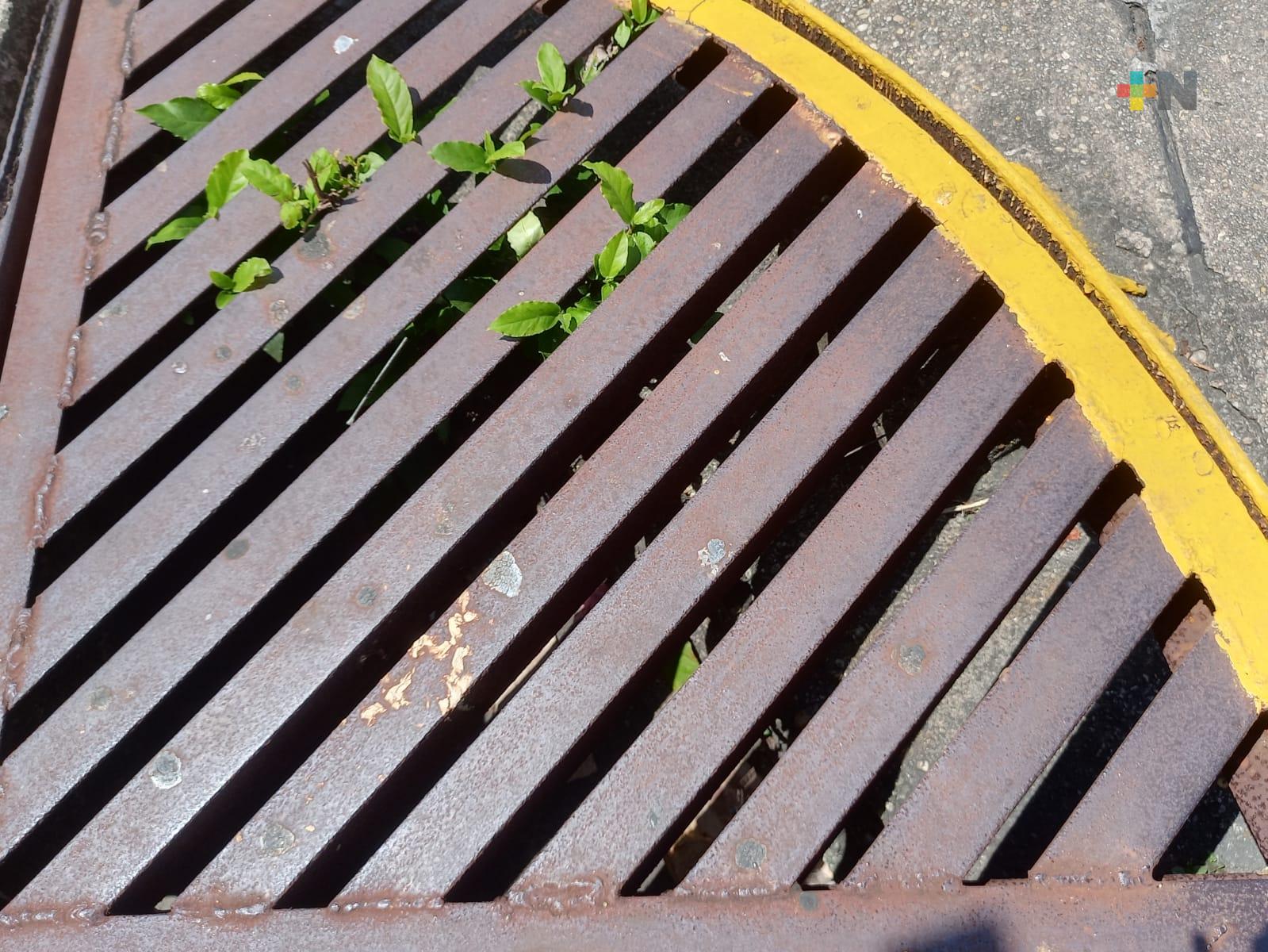 Provoca inundaciones y encharcamientos  la acumulación de basura en calles de Coatza