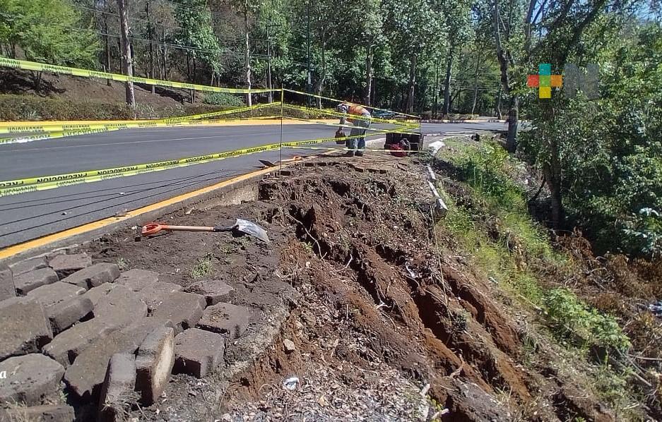 Restringen circulación en carril de avenida Murillo Vidal de Xalapa por reblandecimiento de tierra