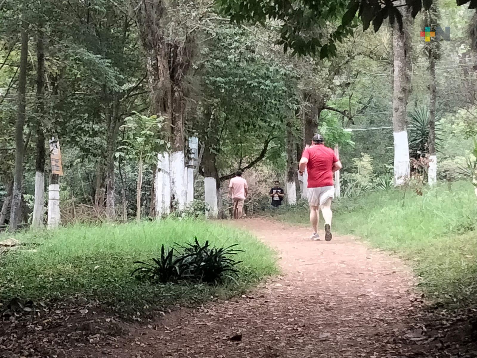 Corredores en Xalapa piden reforzar vigilancia en áreas verdes; se registran agresiones contra mujeres
