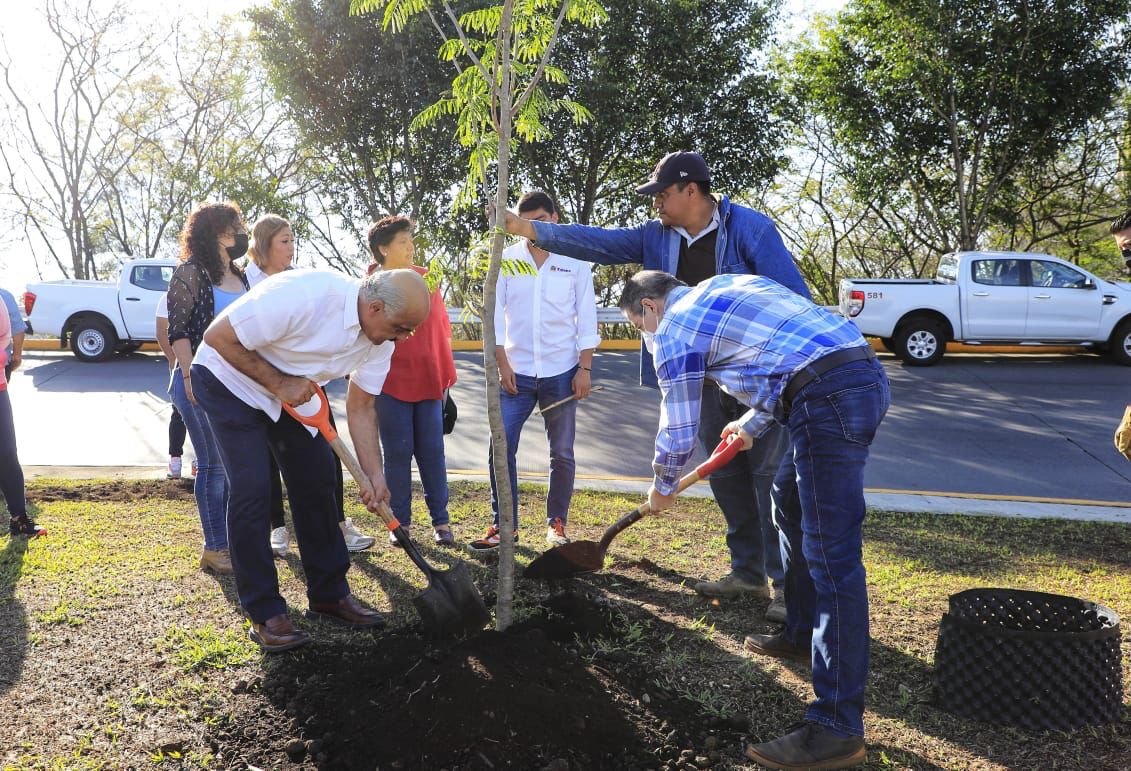 Inicia campaña de reforestación y arborización urbana en Xalapa