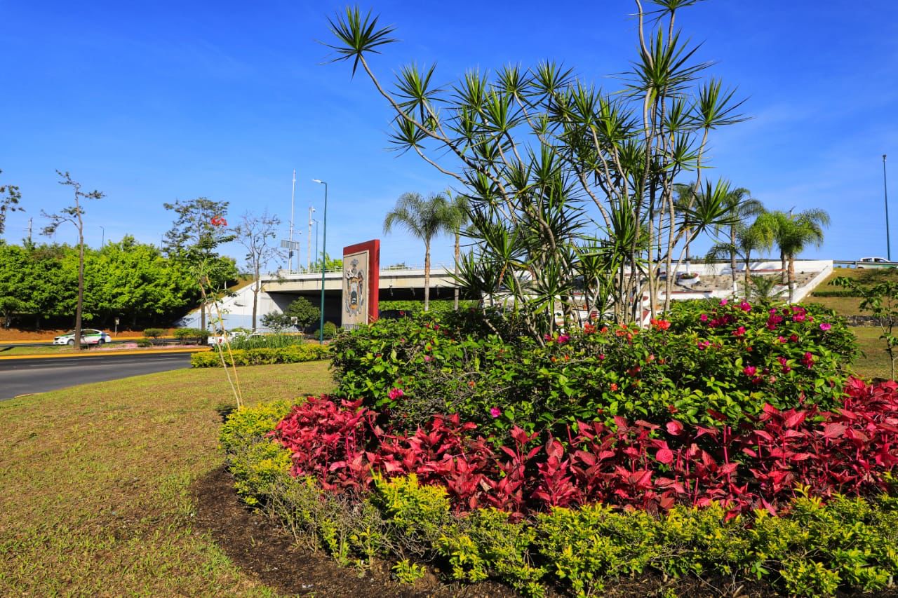 Conmemora el ayuntamiento de Xalapa el Día Mundial del Medio Ambiente