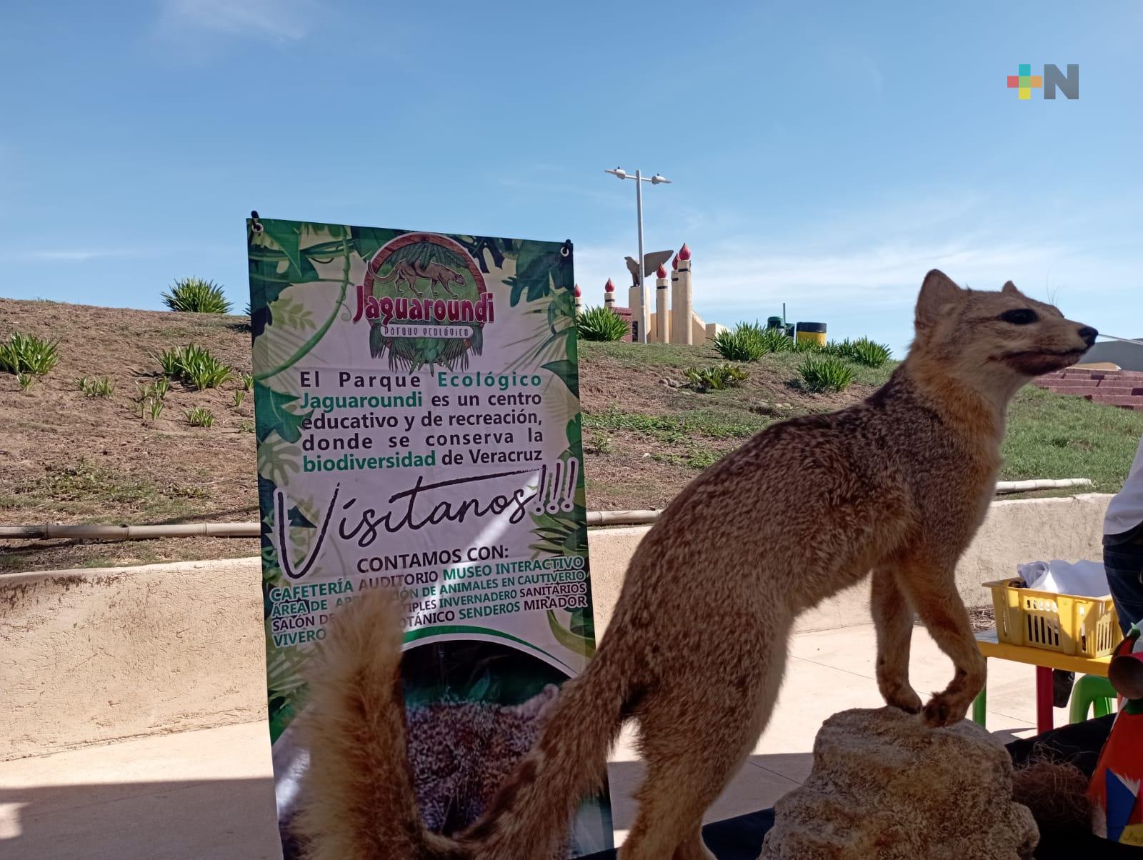 Realizan feria ambiental «Una Sola Tierra» en Coatza