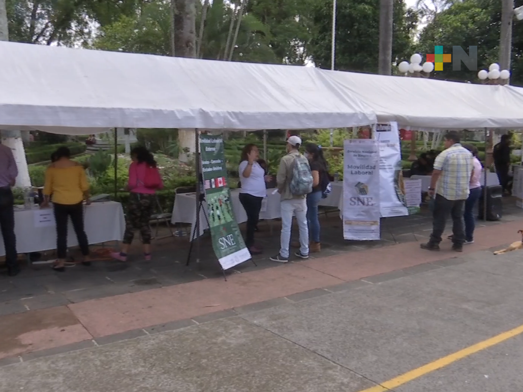 Llevan a cabo Feria del Empleo en municipio de Teocelo