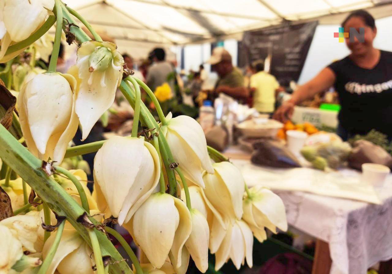 Concursarán 46 platillos en primer Festival de la Flor de Izote