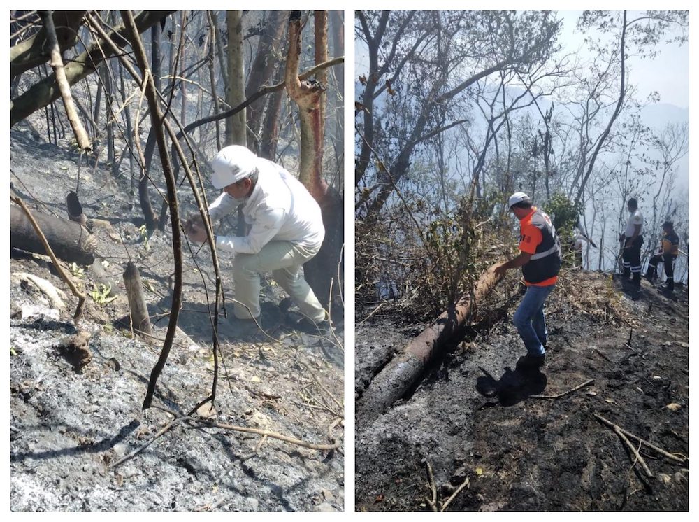 Atienden fuga de hidrocarburo e incendio de pastizal en Papantla